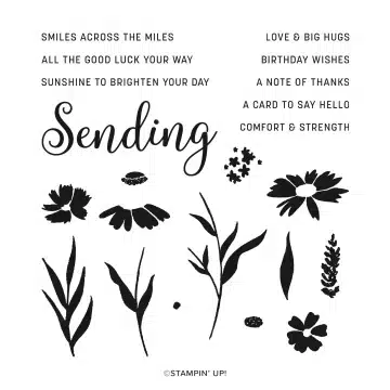 On left Stampin Up® case insert showing sentiments and stamps in Sending Smiles stamp set. 
