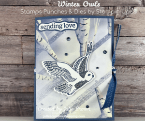 Winter Owls Pop Up Card